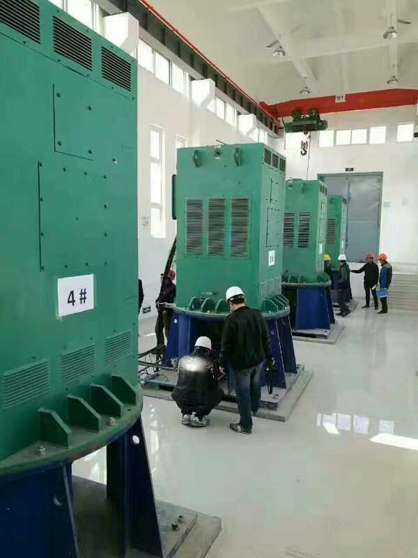 大武口某污水处理厂使用我厂的立式高压电机安装现场