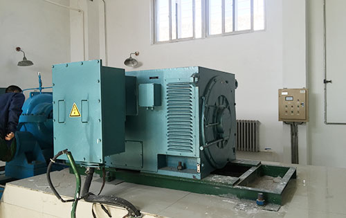 大武口某水电站工程主水泵使用我公司高压电机